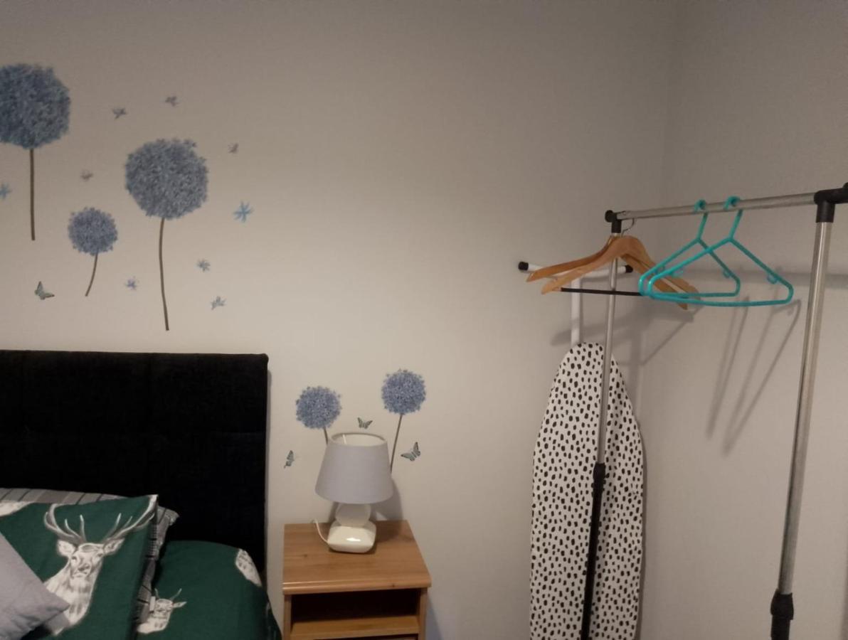 Maire Toireasa - Cosy Refurbished Property In The Gaeltacht Quarter Belfast Ngoại thất bức ảnh